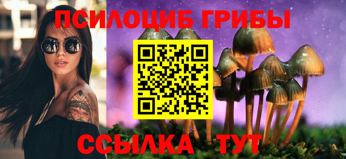 Псилоцибиновые грибы Psilocybine cubensis  Вход с VPN  Ессентуки 